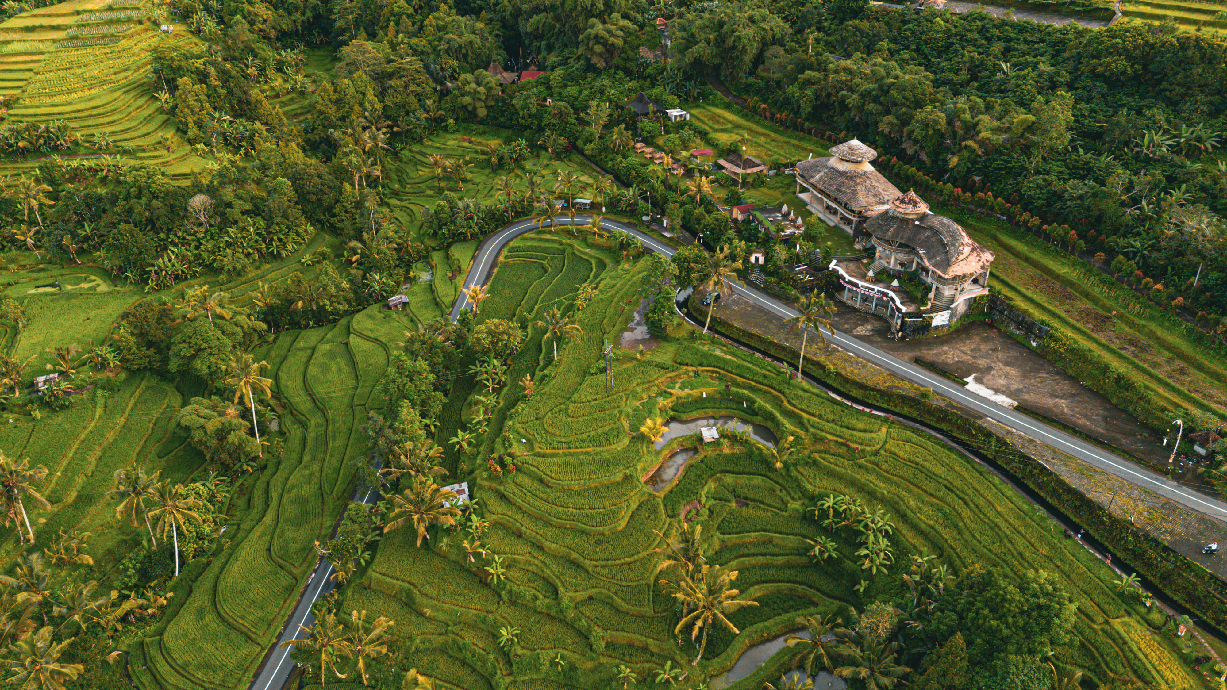 Aerial Rice Terraces